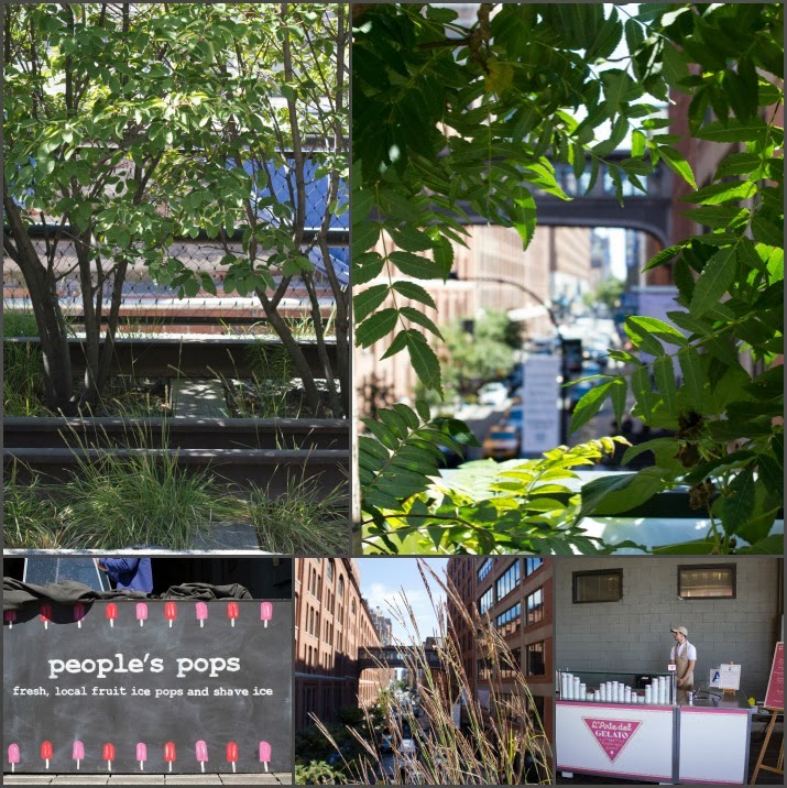 The Highline, Manhattan, New York, USA, Park, people's pops