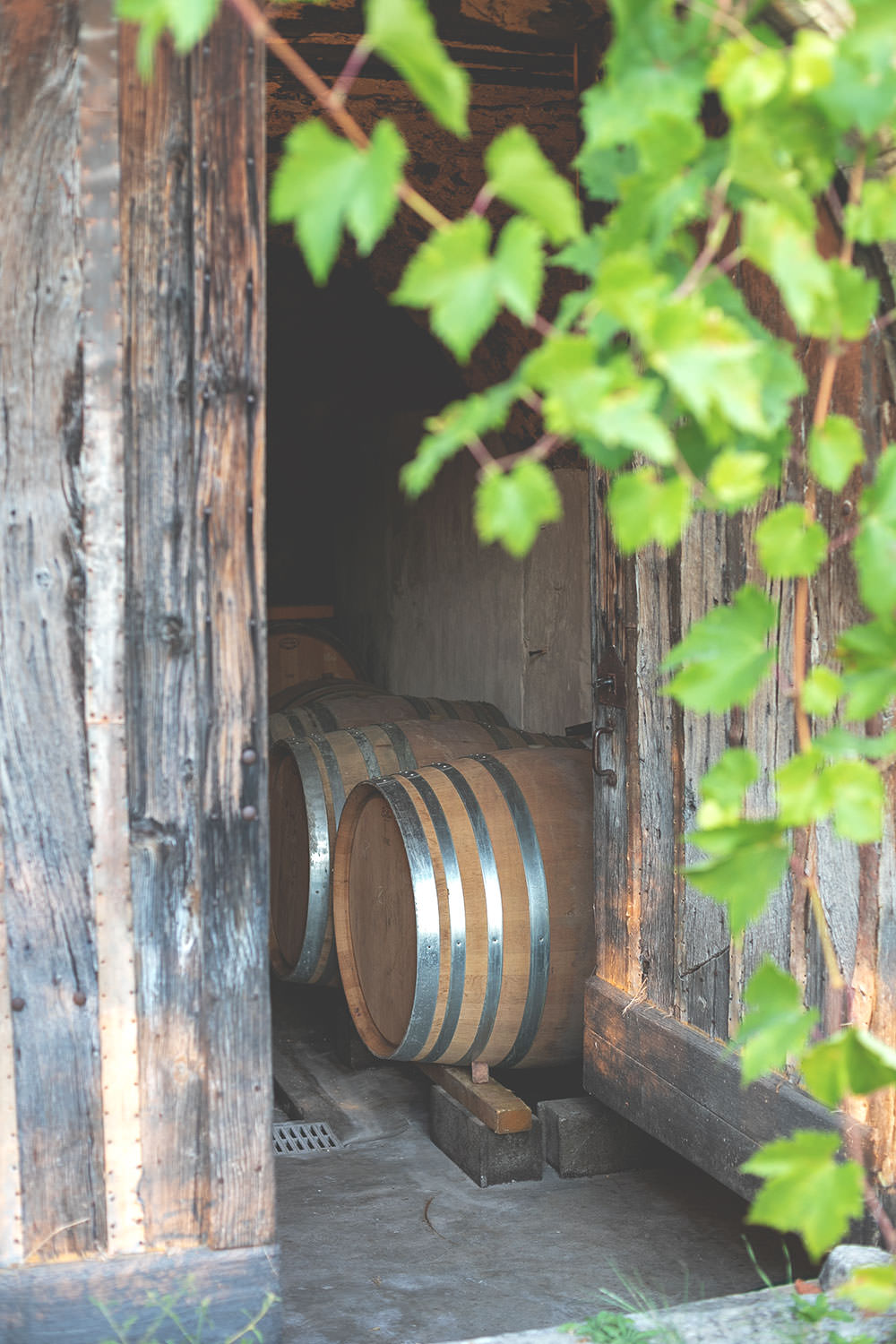 Weinkeller in der Provence | moeyskitchen.com
